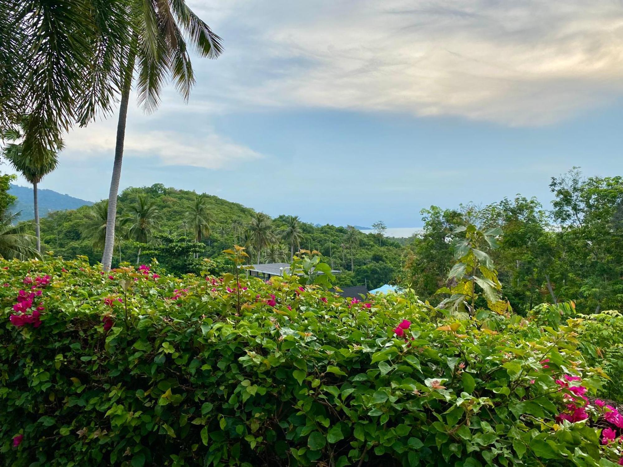 Ko Samui Seaview Pool Villa Philippa With Car 蓝赛特海滩 外观 照片
